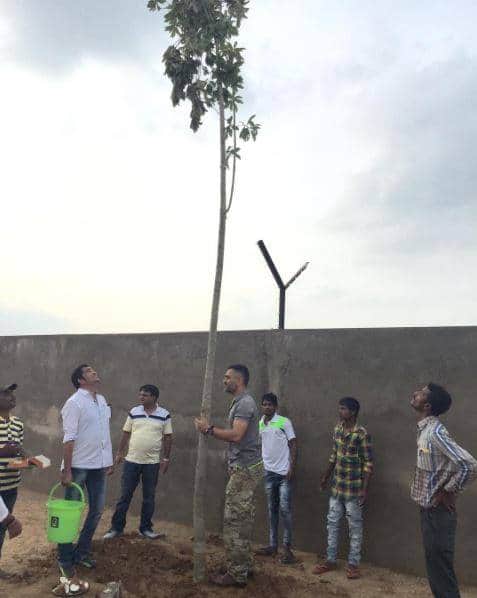 धोनीने मित्रांसोबत वृक्षारोपण देखील केलं.( सर्व फोटोः फेसबुक)