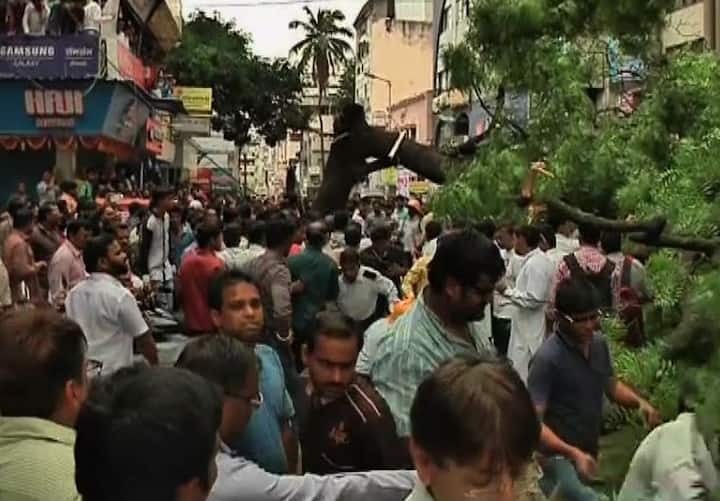 स्थानिकांनी अडकलेल्या युवकाला वाचवण्याचा प्रयत्न केला, पण झाड मोठं असल्यानं अपयश येत होतं. यावेळी नाशिककरांच्या सेल्फीने बचावकार्यात मोठा अडथला आणला.