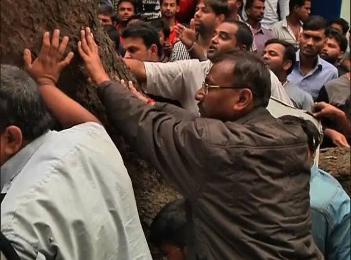 वकीलवाडी हा नाशिकमधील अतिशय वर्दळीचा परिसर आहे. या रस्त्यावर जुनी झाडंही मोठ्या प्रमाणात आहेत. पावसाने झाडं कमकुवत झाल्याने अशा दुर्घटना घडत आहेत. 