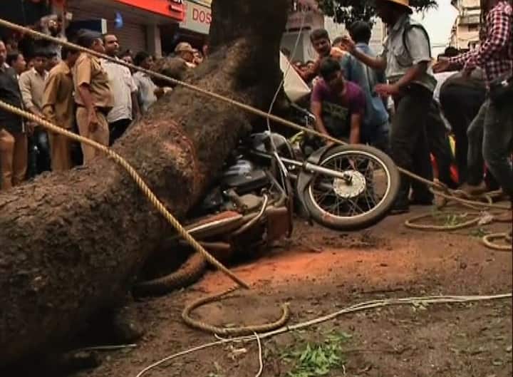 अग्निशमन दलाच्या दोन तासांच्या प्रयत्नानंतर युवकाला सुखरुप वाचवण्यात आलं. मात्र काही स्थानिकांनी मदत केली तर काही जण झाडाखाली अडकलेल्या तरुणासोबत सेल्फी काढण्यात दंग होते.