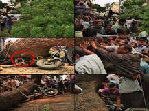 युवक तब्बल दोन तास झाडाखाली अडकून, स्थानिक सेल्फीत दंग