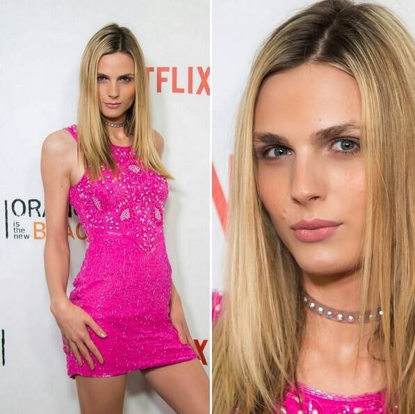 एंड्रेजा पेजिका: ही मॉडेल 2011 साली अमेरिकेतील एफएचएमच्या टॉप 100 सेक्सी महिलांमध्ये सहभागी झाली.