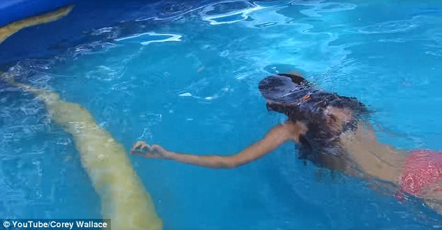 युनाइटेड स्टेट्स जिओलॉजिकल सर्व्हेच्या मते, हा अजगर विषारी नसतो. जगभरात एका वर्षात या अजगरच्या चावण्याने एका किंवा दोघांचा मृत्यू होतो. 