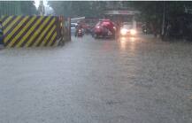 मुंबई-ठाण्यात पाऊसफुल्ल रविवार