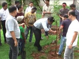 Solapur Tree Bhishi An Initiative By Doctors पैशांची नव्हे झाडांची भिशी, सोलापूरच्या डॉक्टरांचा उपक्रम