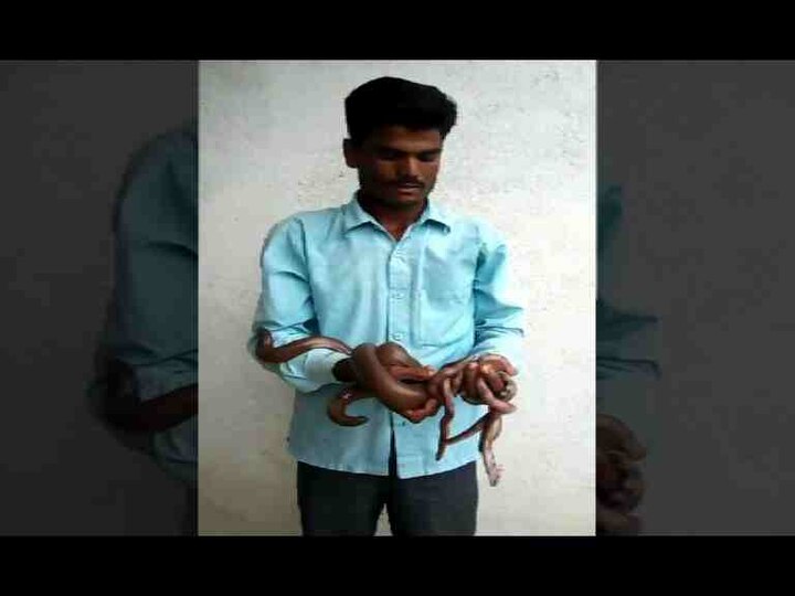 सर्पमित्र राजेश ठोंबरे