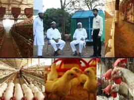 Success Story Of Beeds Shaikh Brothers In Poultry Farm महिन्याला लाखोंचं उत्पन्न देणारा शेख बंधुंचा अत्याधुनिक पोल्ट्री फार्म