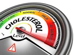 Cholesterol Control: ਗੁੱਡ ਕੋਲੈਸਟ੍ਰੋਲ ਵਧਾਉਣ ਲਈ ਰੱਖੋ ਇਨ੍ਹਾਂ 5 ਗੱਲਾਂ ਦਾ ਧਿਆਨ, ਤੁਰੰਤ ਦਿਖਾਈ ਦੇਵੇਗਾ ਅਸਰ
