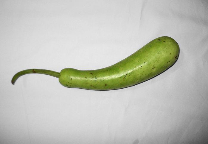 पीठ मळताना यामध्ये थोडा दुधी किसून घ्यावा जेणेकरुन पीठ मऊसूत होतं आणि पोळी देखील चविष्ठ लागते. 