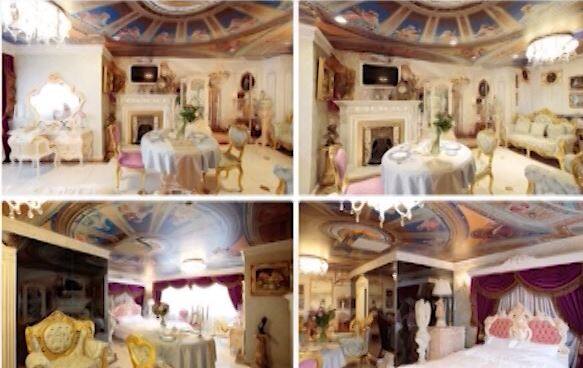 डिलिव्हरी आणि 6 दिवस राहण्यासाठी तुम्हाला 75 हजार पाउंड (66 लाख 32 हजार रुपये) मोजावे लागतील. 