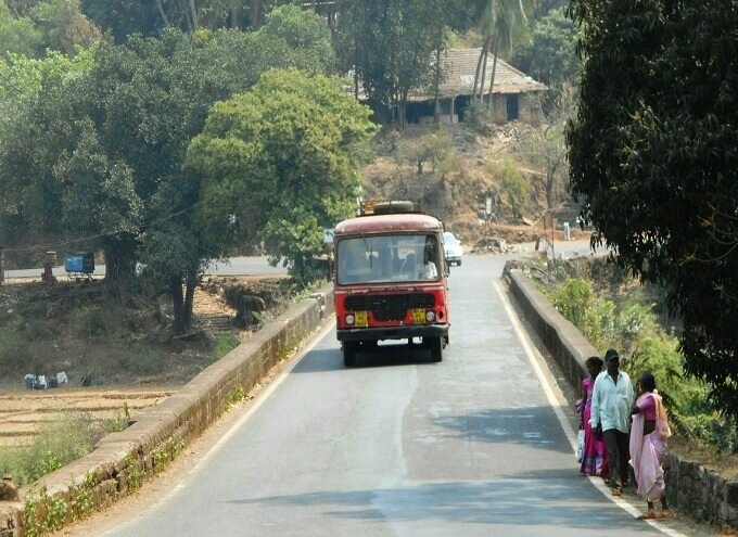 31000 Trees Slaughter In Mumbai Goa Highway Widening Latest Update मुंबई-गोवा महामार्ग रुंदीकरणात ३१ हजार झाडांची कत्तल?