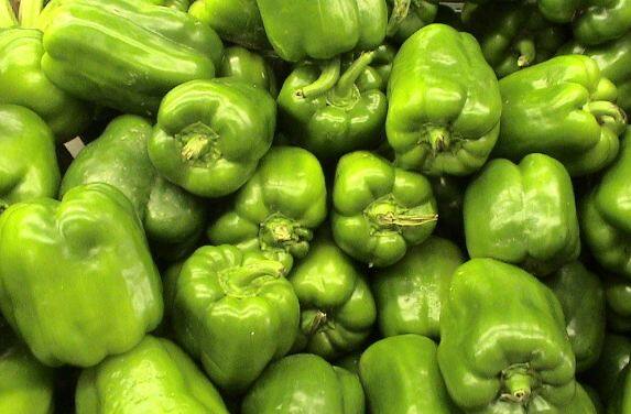Capsicum grows only in Shimla know full details ਸ਼ਿਮਲਾ ਮਿਰਚ ਸਿਰਫ਼ ਸ਼ਿਮਲਾ ਵਿੱਚ ਹੀ ਉੱਗਦੀ ? ਜਾਣੋ ਇਸਦੇ ਨਾਮ ਪਿੱਛੇ ਦੀ ਕਹਾਣੀ ਤੇ ਇਸਨੂੰ ਕਿਵੇਂ ਉਗਾਇਆ ਜਾਵੇ