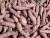 Vegetables Peels:  ભૂલથી પણ આ શાકની છાલ ન ઉતારો, સ્વાસ્થ્ય માટે છે અતિ ગુણકારી