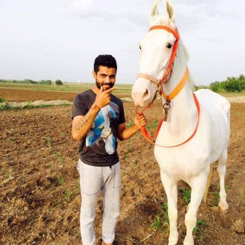 रवींद्र जडेजाला घोड्यांची प्रचंड आवड आहे. त्याने आपल्या जामनगरच्या फार्म हाऊसवर अनेक घोडयांना सांभाळले आहे.