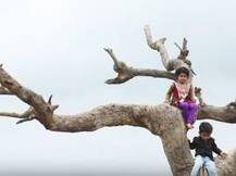 चिमुकल्या आर्ची-परशाचं 'सैराट झालं जी'!