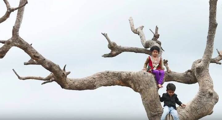 काही दिवसांपूर्वी सैराटच्या गाण्यावर प्री-वेडिंग व्हिडीओचा ट्रेण्ड होता. त्यातच आता 4-5 वर्षांच्या चिमुरड्यांना घेऊन 'सैराट झालं जी' हे जसंच्या तसं शूट केलं आहे.