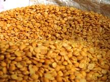 तूर डाळ आता रेशन दुकानांवरही मिळणार!