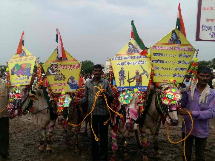 आज पोळ्याचा सण मनमाड परिसरात मोठ्या उत्साहात साजरा करण्यात आला. यानिमित्तानं वेगवेगळे सामाजिक संदेशही देण्यात आले. 
