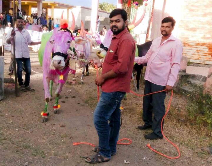 आज पोळ्याचा सण मनमाड परिसरात मोठ्या उत्साहात साजरा करण्यात आला. यानिमित्तानं वेगवेगळे सामाजिक संदेशही देण्यात आले. 