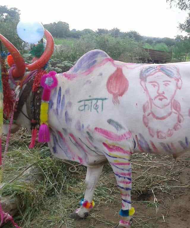 आज पोळ्याचा सण मनमाड परिसरात मोठ्या उत्साहात साजरा करण्यात आला. यानिमित्तानं वेगवेगळे सामाजिक संदेशही देण्यात आले. 