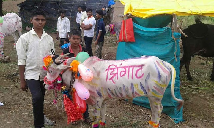 आज पोळ्याचा सण मनमाड परिसरात मोठ्या उत्साहात साजरा करण्यात आला. 