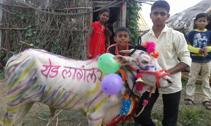 आज पोळ्याचा सण मनमाड परिसरात मोठ्या उत्साहात साजरा करण्यात आला. यानिमित्तानं वेगवेगळे सामाजिक संदेशही देण्यात आले. 