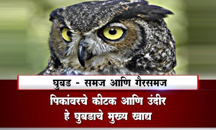वतीनं देण्यात आली आहे.