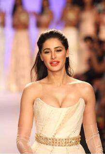 बॉलिवूडवाल्यांना आम्हाला तोकड्या कपड्यातच दाखवायचय: नर्गिस फाखरी