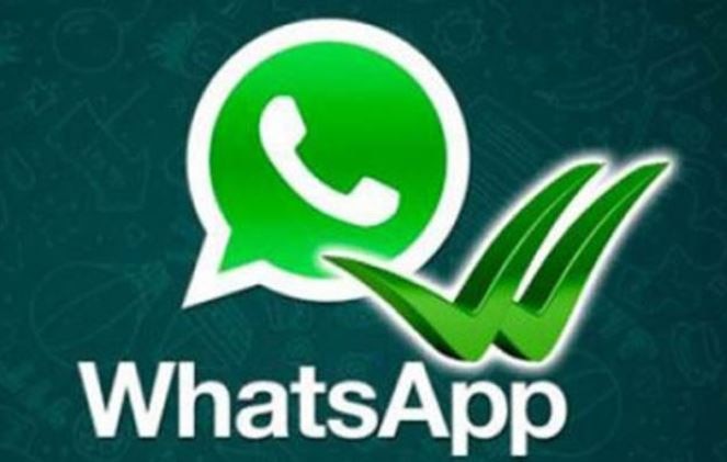 Whatsapp Starts Rolling Out Video Calling Feature अखेर व्हॉट्सअॅपची व्हिडीओ कॉलिंग सेवा सुरु !