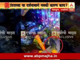 चिपळूणमध्ये बाप्पांसमोर खऱ्याखुऱ्या उंदिरमामाचा डान्स Ratnagiri Rat Dances In Front Of Ganapati Idol चिपळूणमध्ये बाप्पांसमोर खऱ्याखुऱ्या उंदिरमामाचा डान्स