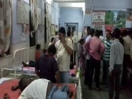 बुलडाण्यात गणपती विसर्जनावेळी मधमाश्यांचा हल्ला, 35 जण जखमी बुलडाण्यात गणपती विसर्जनावेळी मधमाश्यांचा हल्ला, 35 जण जखमी