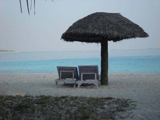 घुमक्कडी (7) : हुंकारकुपातले हरिण