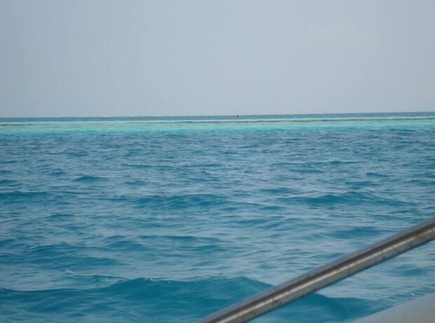 घुमक्कडी (7) : हुंकारकुपातले हरिण