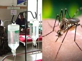 Dengue Attack In Maharashtras All Regions मुंबईसह महाराष्ट्राला डेंग्यू, मलेरियाचा विळखा, रुग्णांच्या संख्येत वाढ