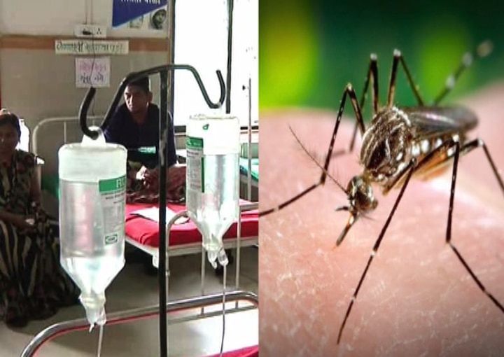 Everyday three people in Mumbai get infected with dengue मुंबईत रोज 3 नागरिकांना डेंग्यूची लागण !