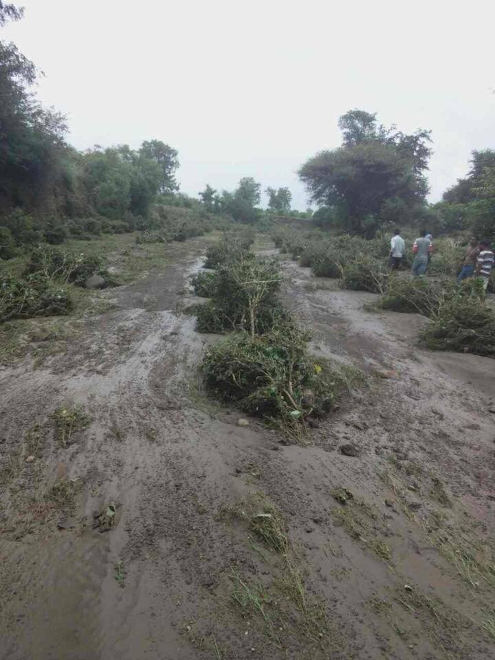 पावसाने नुकसान झालेल्या ठिकाणचे पंचनामे चालू असल्याचं तहसिल कार्यालयाकडून सांगण्यात आलं आहे. 