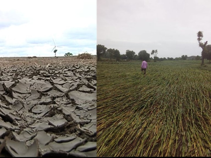 Journalist Nilesh Zaltes Blog On Drought दुष्काळ कुठलाही असो, शेतकऱ्याला मारतोच...!