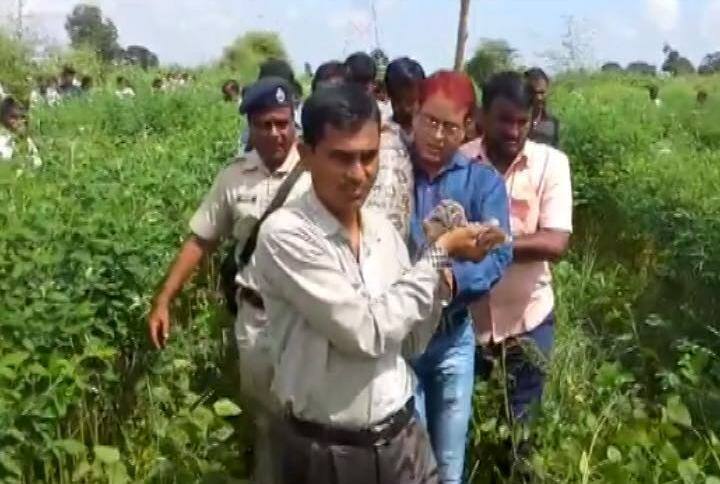 तोपर्यंत एका रानडुकराची शिकार करुन हा अजगर सुस्त पडला होता.