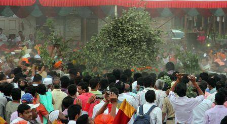 आजही सोनं, म्हणजेच आपट्याची पानं लुटण्यासाठी कोल्हापूरकरांची एकच झुंबड उडाली.