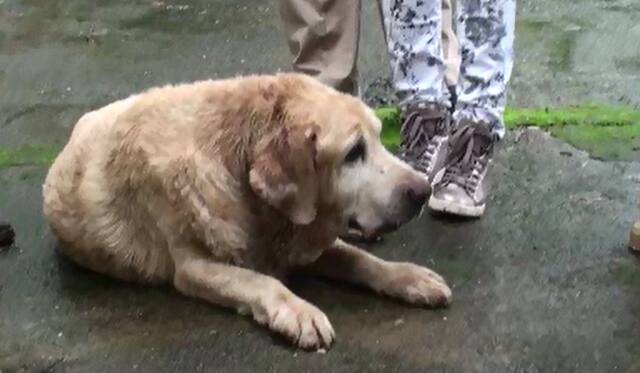 26/11 हल्ल्यात जिगरबाज कामगिरी करणारा सिझर काळाच्या पडद्याआड