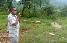 भोपाळमधील सर्पमित्राने जंगलात सोडले तब्बल 285 विषारी साप