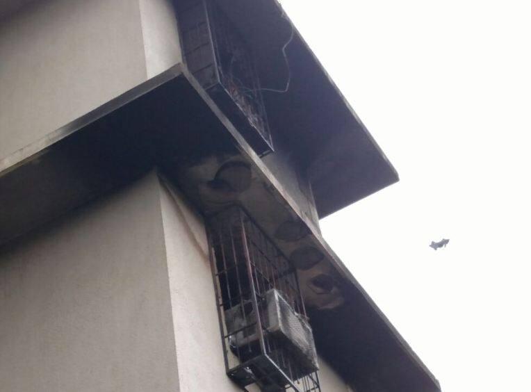 एसीचा धूर वरच्या मजल्यावर गेल्याने गुदमरुन वृद्धाचा मृत्यू One Died By Suffocation After Ac Compressor Caught Fire In Vasai एसीचा धूर वरच्या मजल्यावर गेल्याने गुदमरुन वृद्धाचा मृत्यू