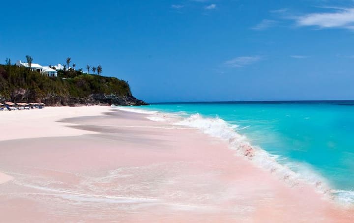 Pink Sand Beach: बहामाच्या बीचची खासियत म्हणजे निळशार पाणी, गुलाबी वाळू... इथं आपलं मन नक्कीच प्रसन्न होईल. 
