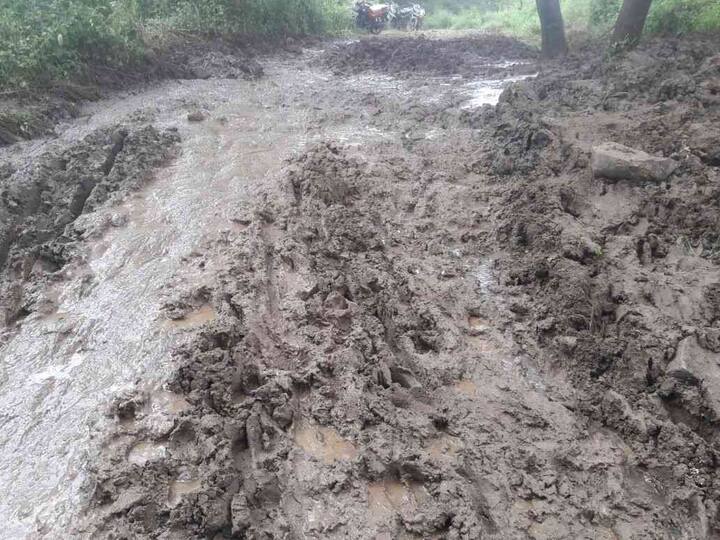 पाहा आणखी फोटो