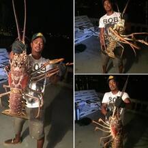 या कोलंबीचं वजन तब्बल 6 किलो...