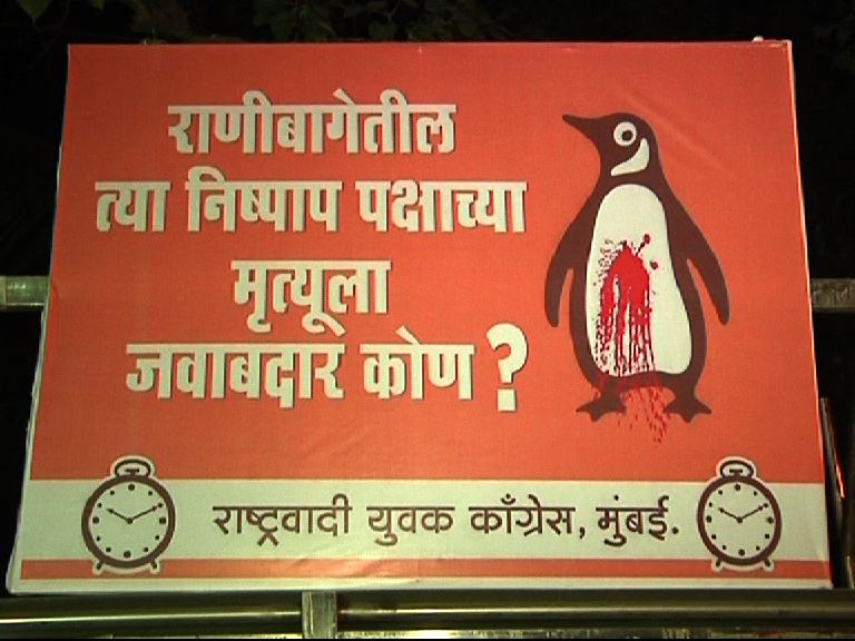 पेग्विन मृत्यूप्रकरणी राष्ट्रवादी काँग्रेसची होर्डिंगबाजी