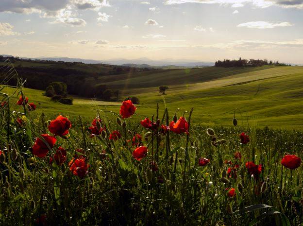 Tuscany मध्य इटलीमधील सुंदर ठिकाण 