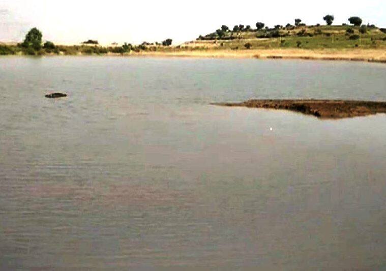 Washim Four Boys Drown In Lake वाशिममध्ये तलावात बुडून चार लहानग्यांचा मृत्यू