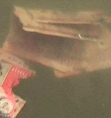  स्थानिकांनी पोलिसांना याची माहिती दिल्यानंतर पोलीस घटना स्थळी दाखल झाले