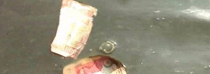 पण या नोटा फाडलेल्या अवस्थेत असल्याने त्यांनी त्या तशाच सोडून दिल्या.